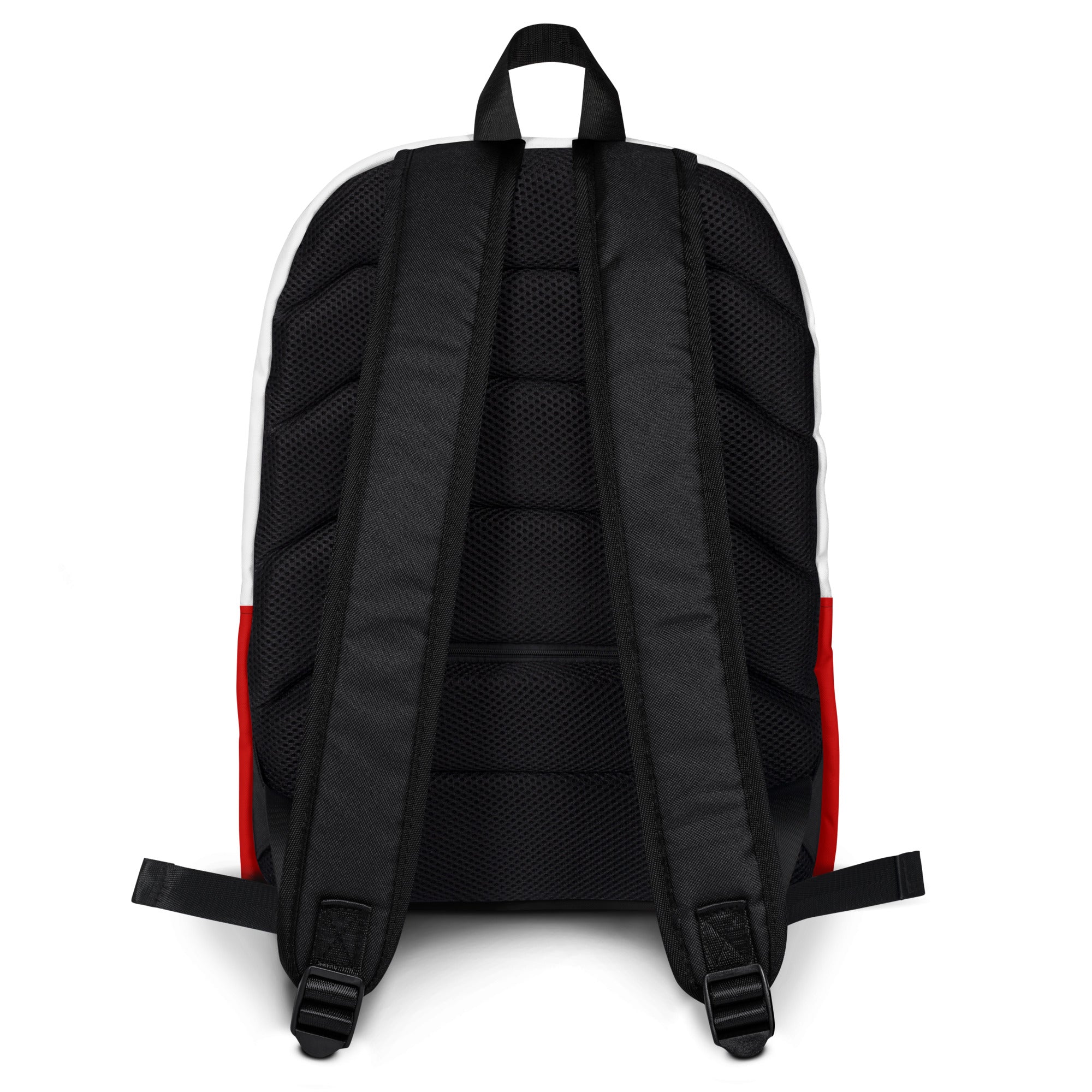 Backpack - "Subtle Defiance"
